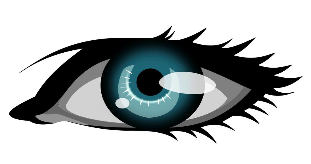 olhar - the eye png transparent