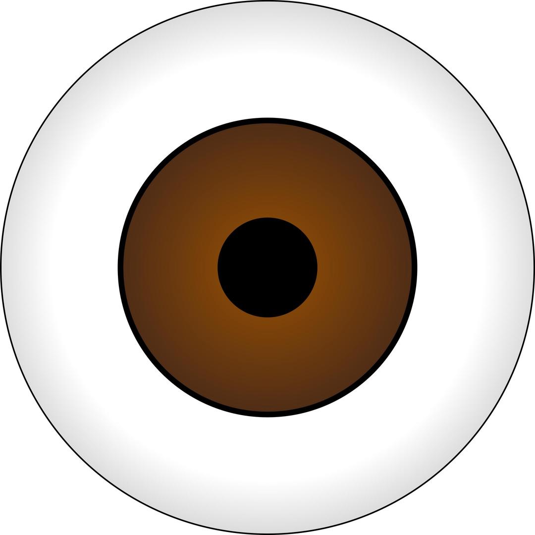 Olhos Castanhos/ Brown Eye png transparent