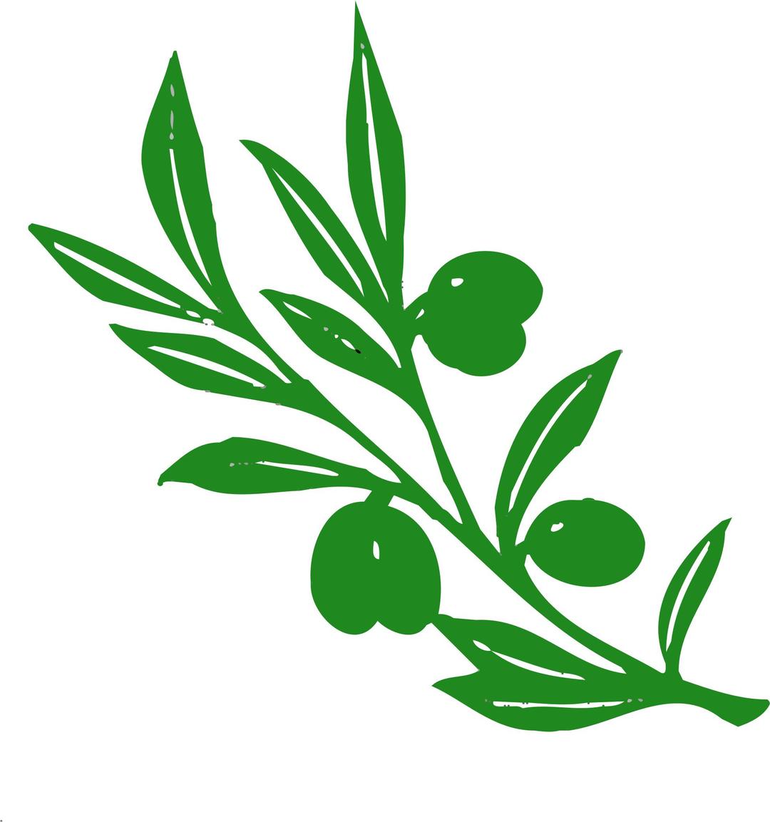 olive tree branch png transparent