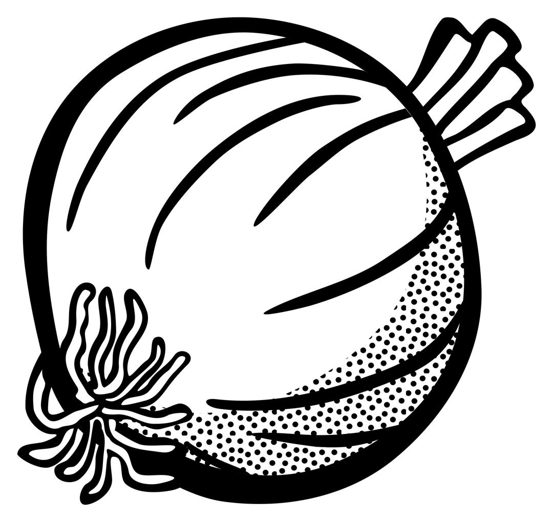 onion - lineart png transparent
