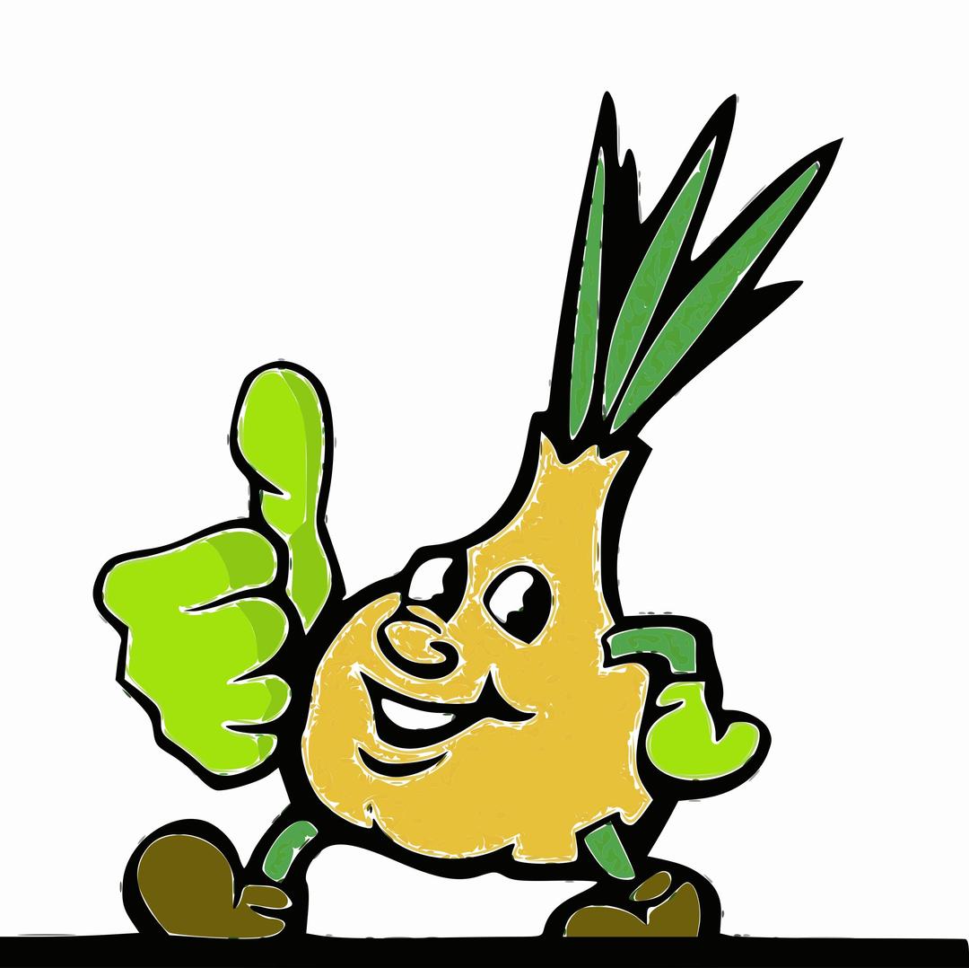 Onion with thumb up png transparent