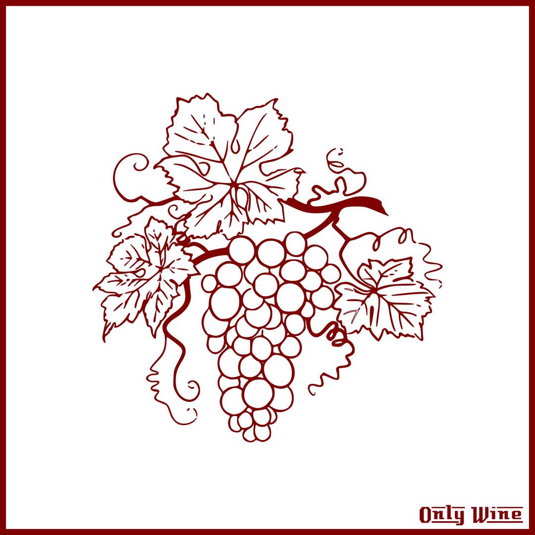 Only Wine 158 png transparent