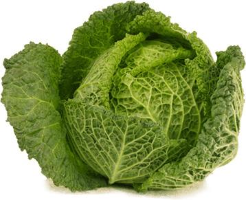 Open Cabbage png transparent
