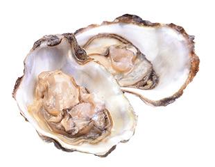 Open Oysters png transparent