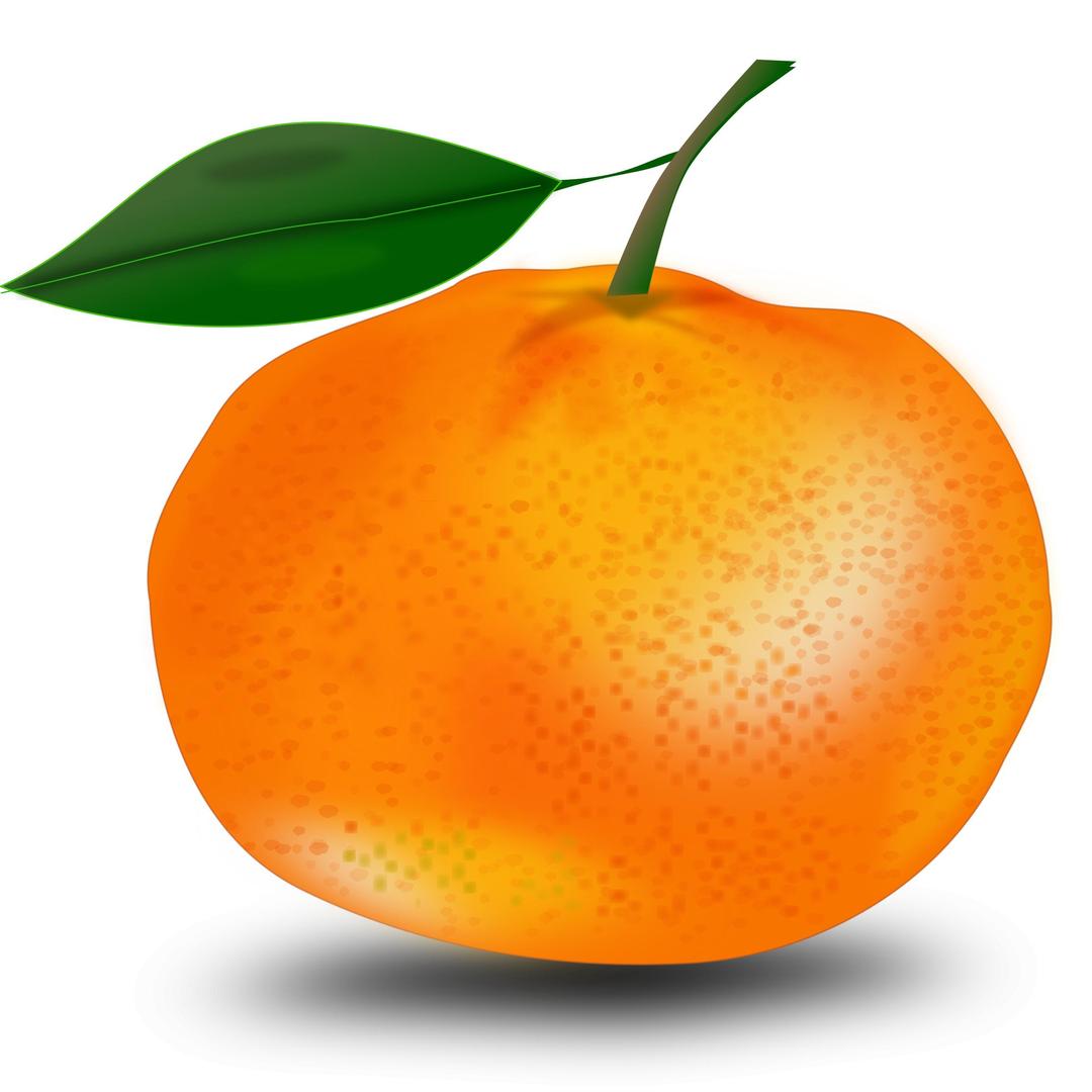 orange png transparent