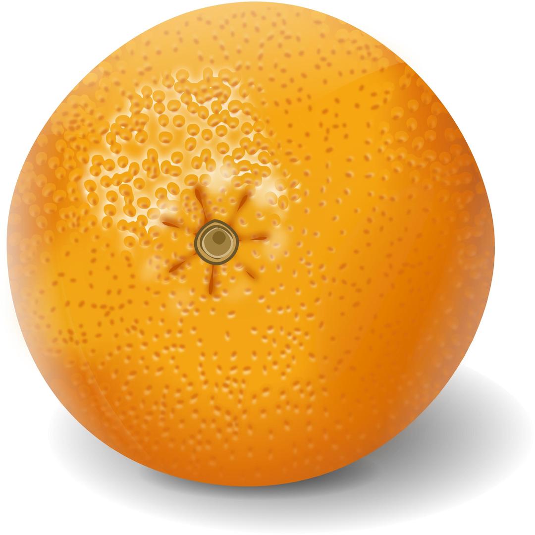 Orange Apelsinas png transparent