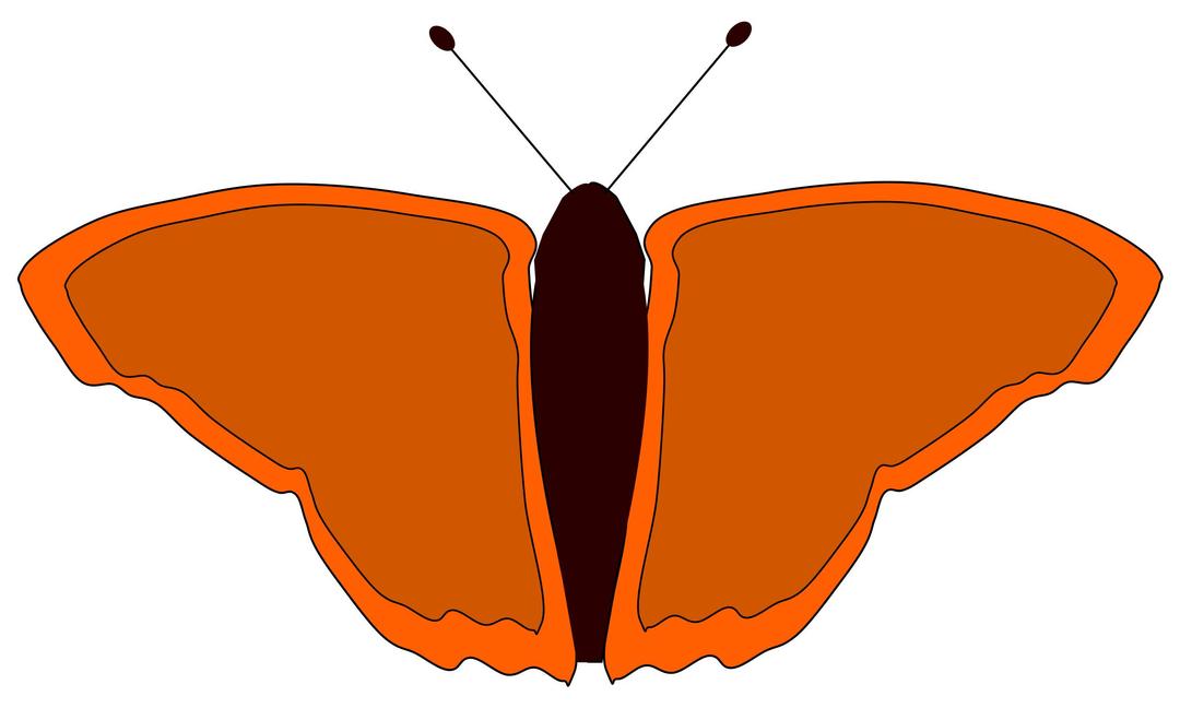 Orange Butterfly png transparent