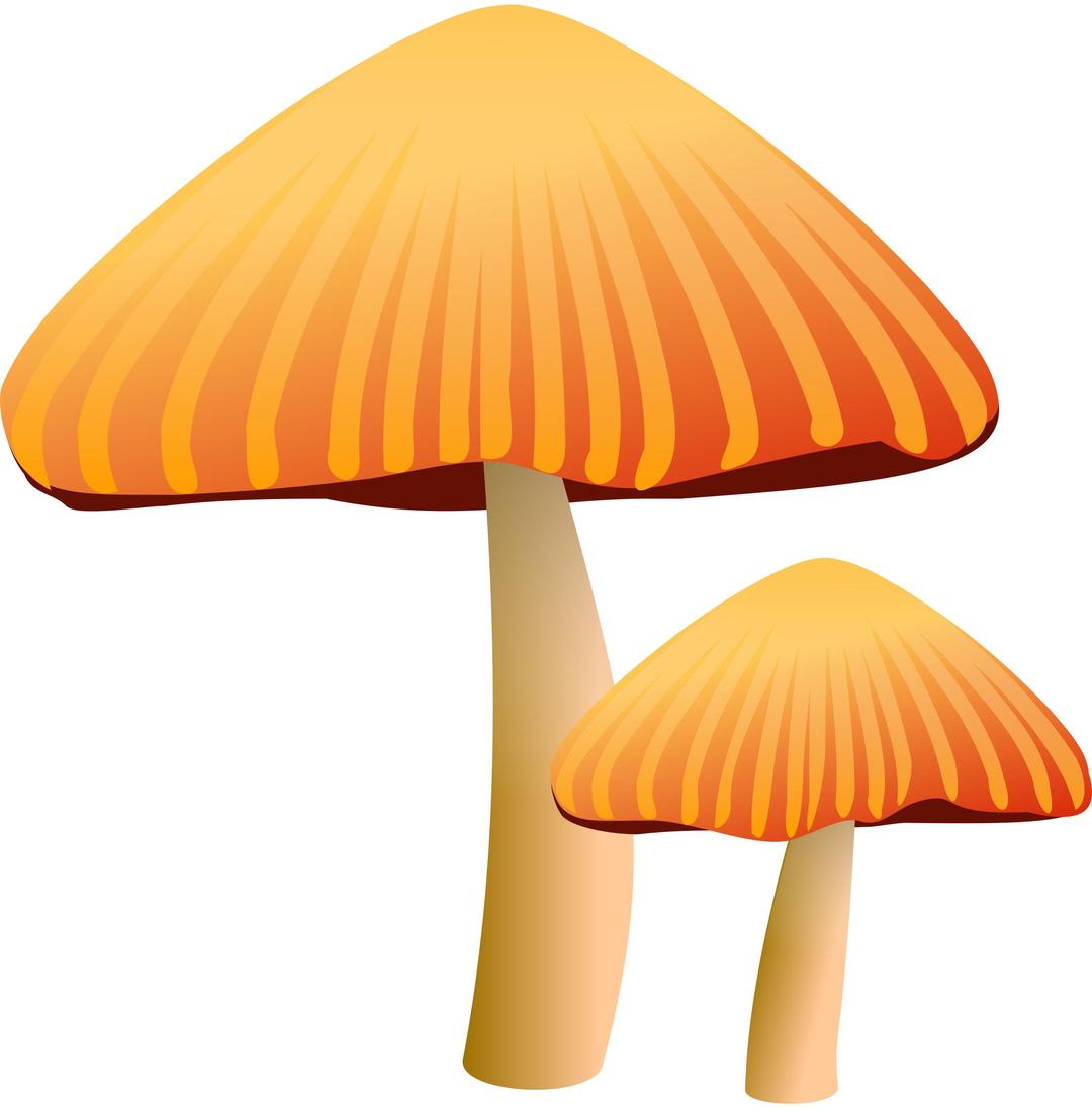 Orange Mushroom png transparent