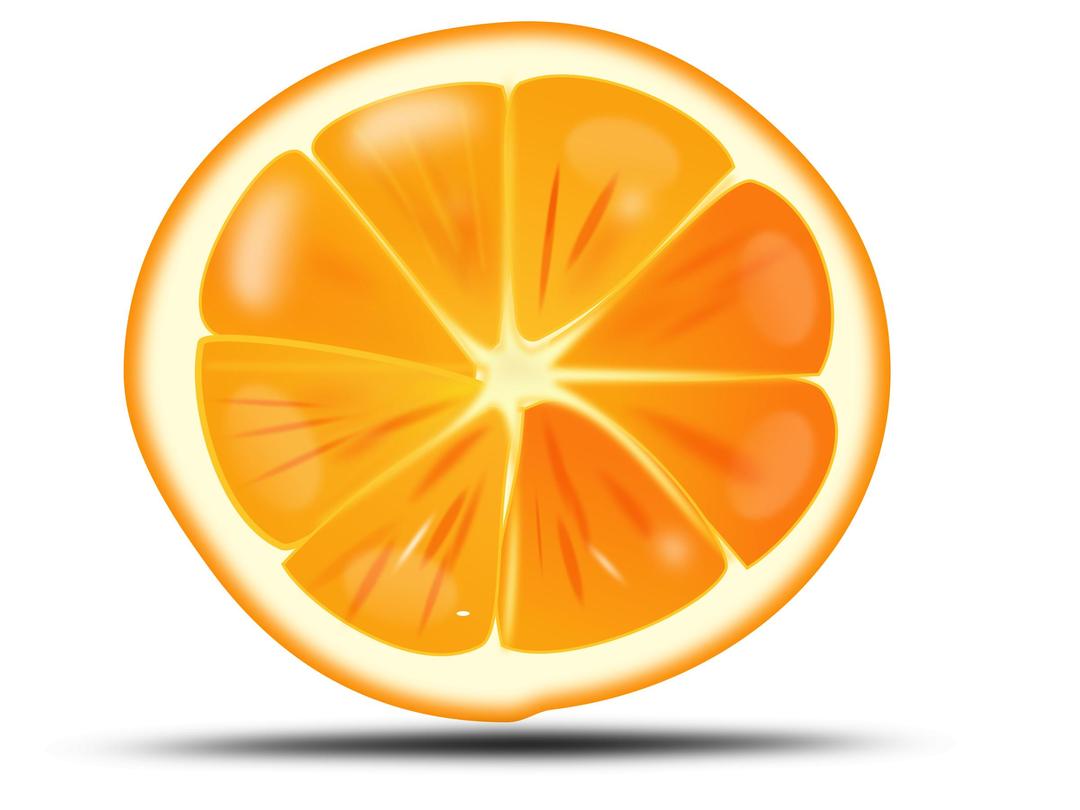 Orange slice png transparent