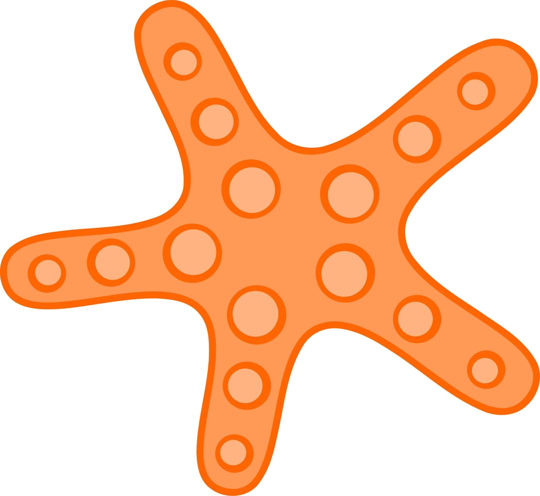 Orange Starfish png transparent