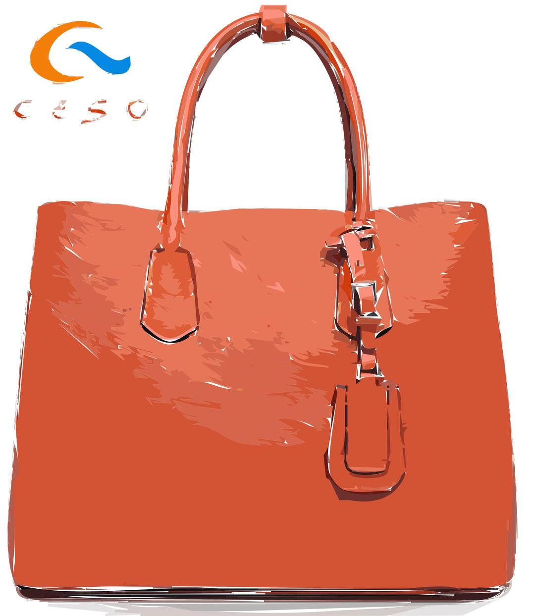 Orangle Flat Leather Bag with Logo png transparent