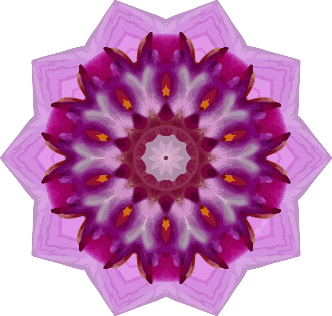 Orchid kaleidoscope 4 png transparent