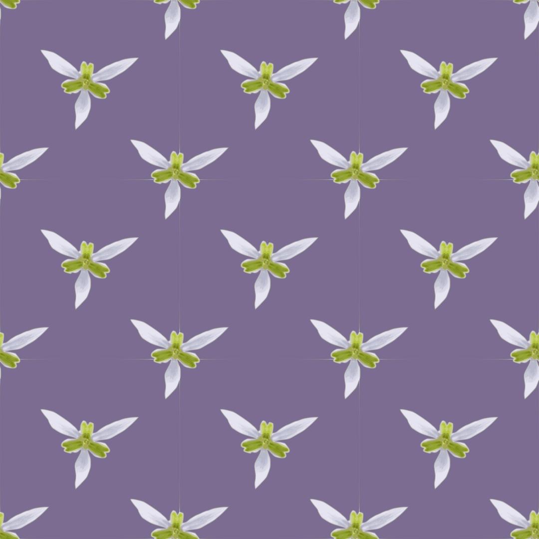 Orchid-seamless pattern png transparent