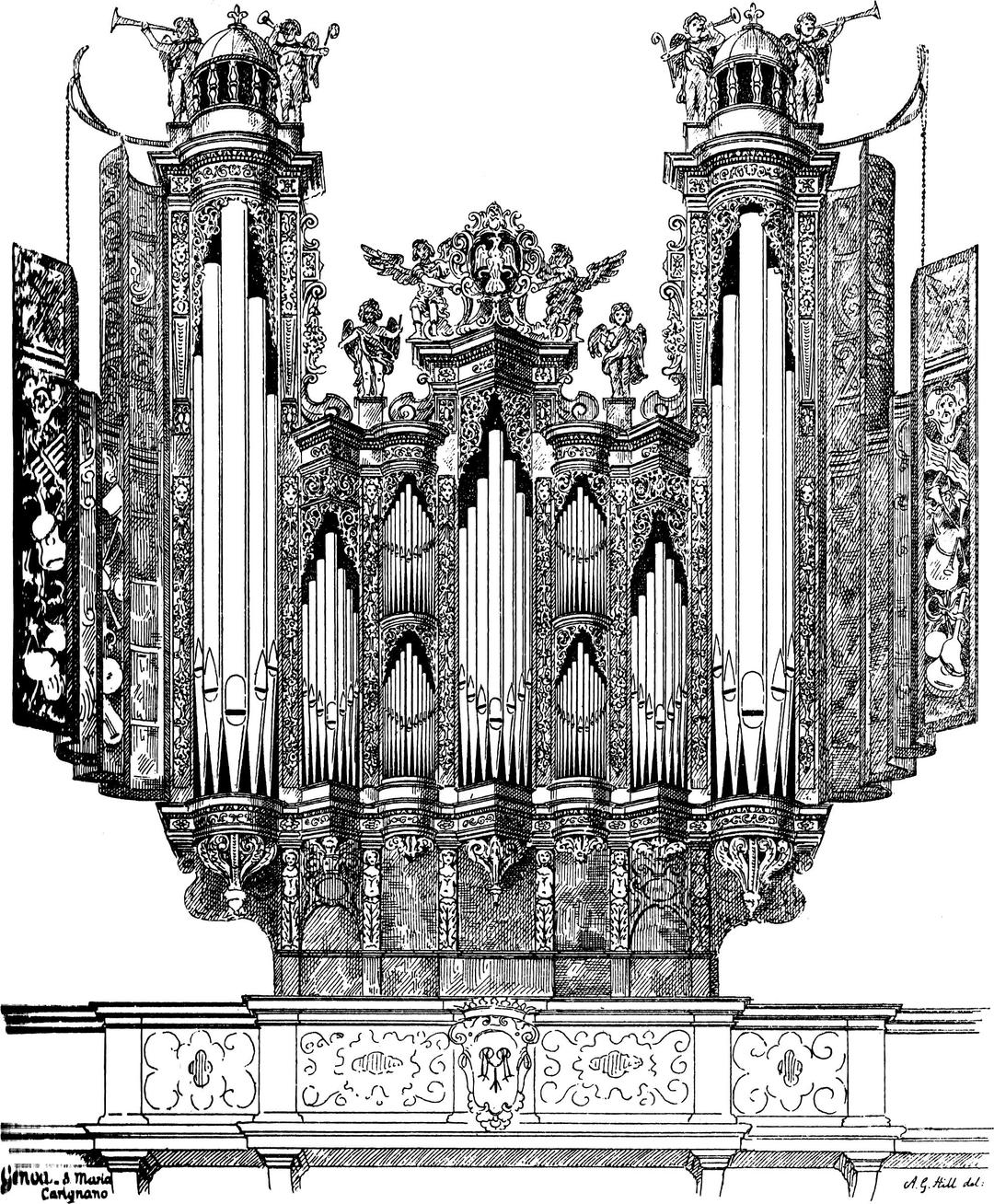 Organ in the Church of Santa Maria di Carignano, Genoa png transparent