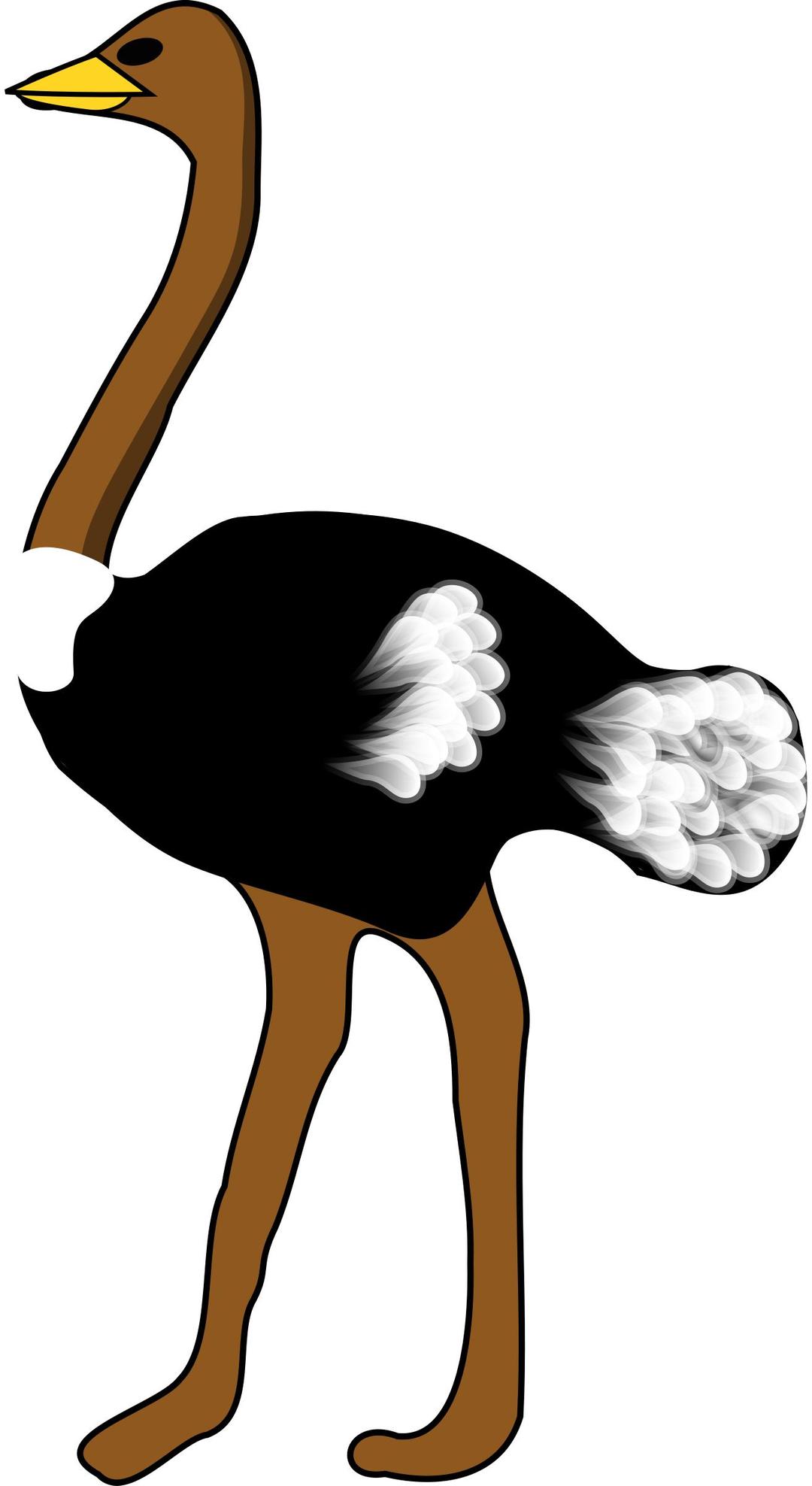 Ostrich png transparent