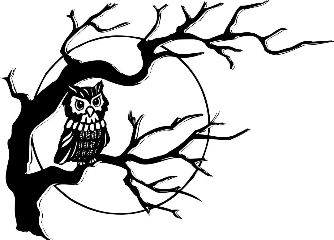 Owl in tree png transparent