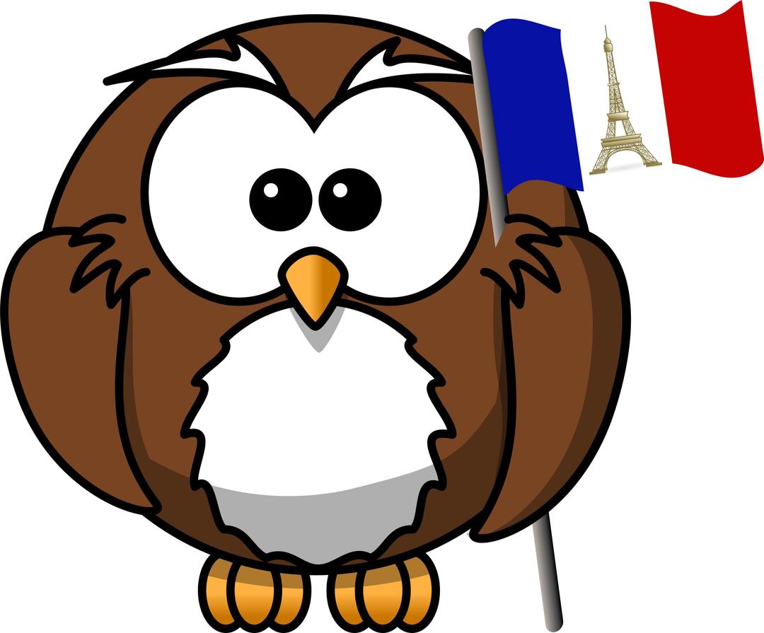 Owl with French flag png transparent