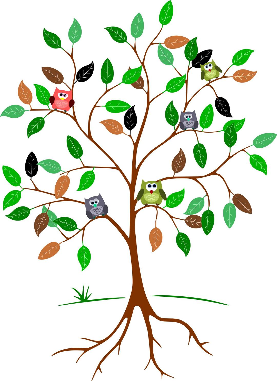 Owls In A Tree png transparent