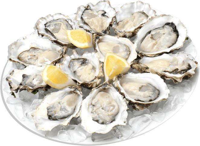 Oysters png transparent