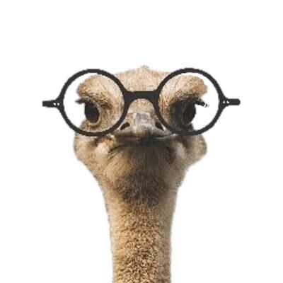 Ozzie the Ostrich Wearing Glasses png transparent