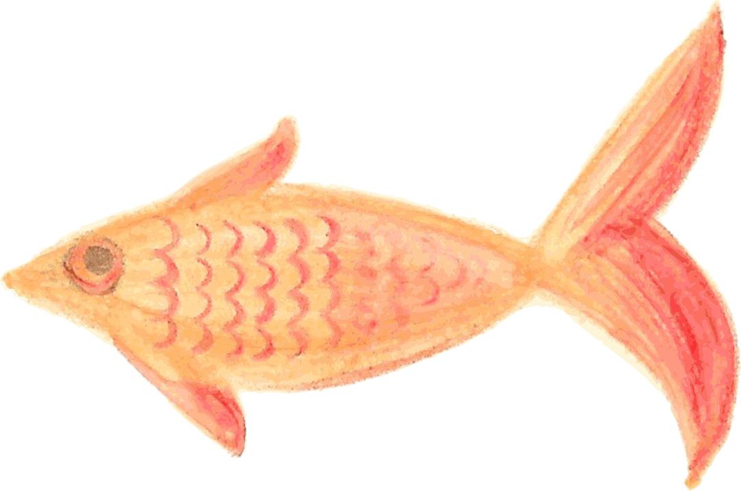 Painted Fish Orange patterned traced png transparent