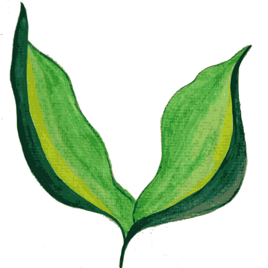 Painted Leaves (remixed), background-devoid. png transparent