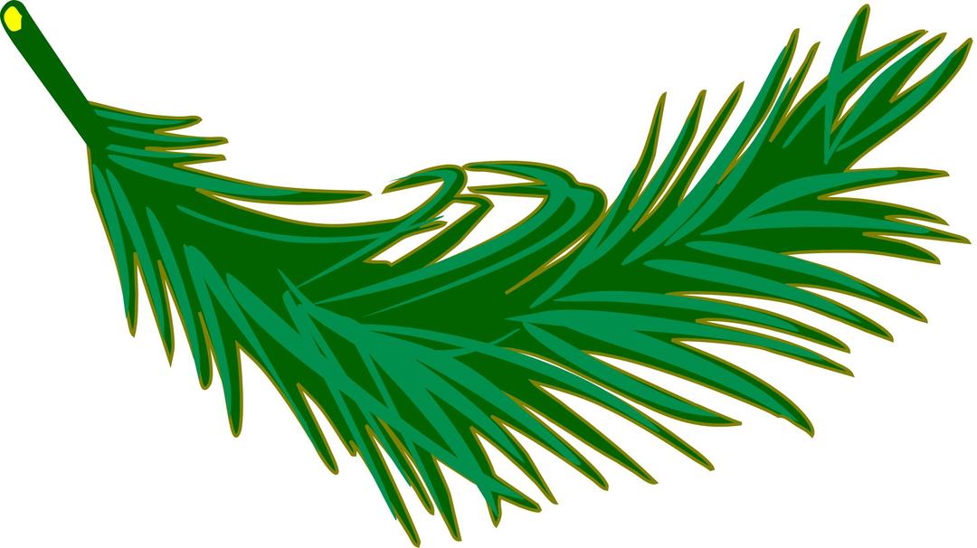 Palm frond png transparent