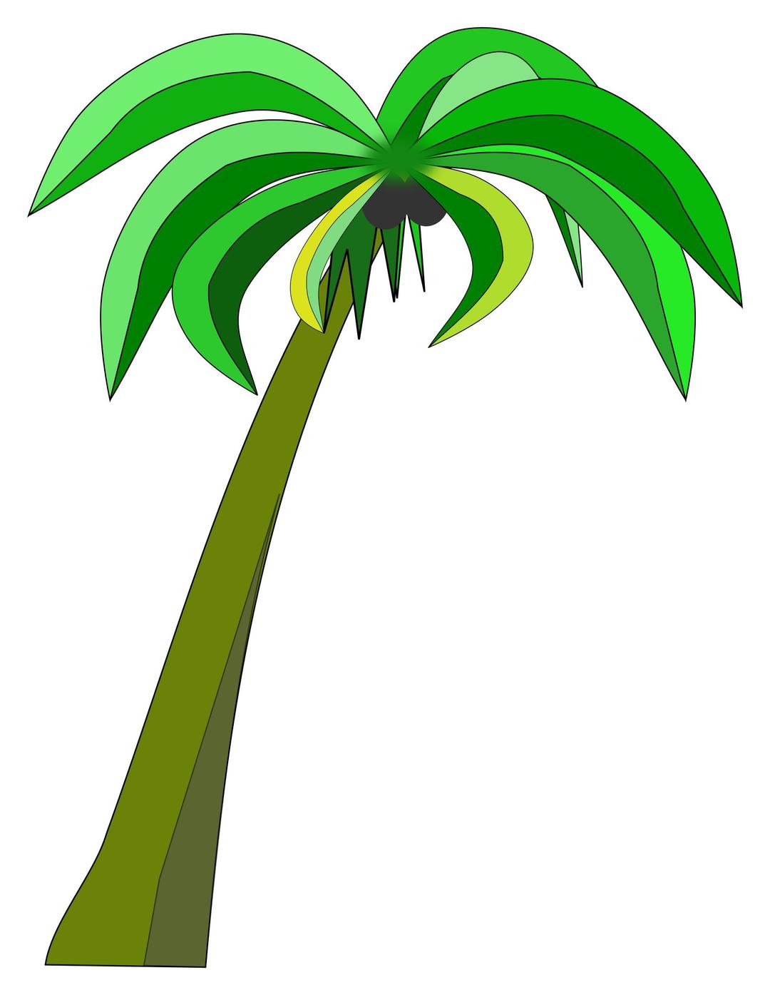 Palm or Coconut Tree png transparent