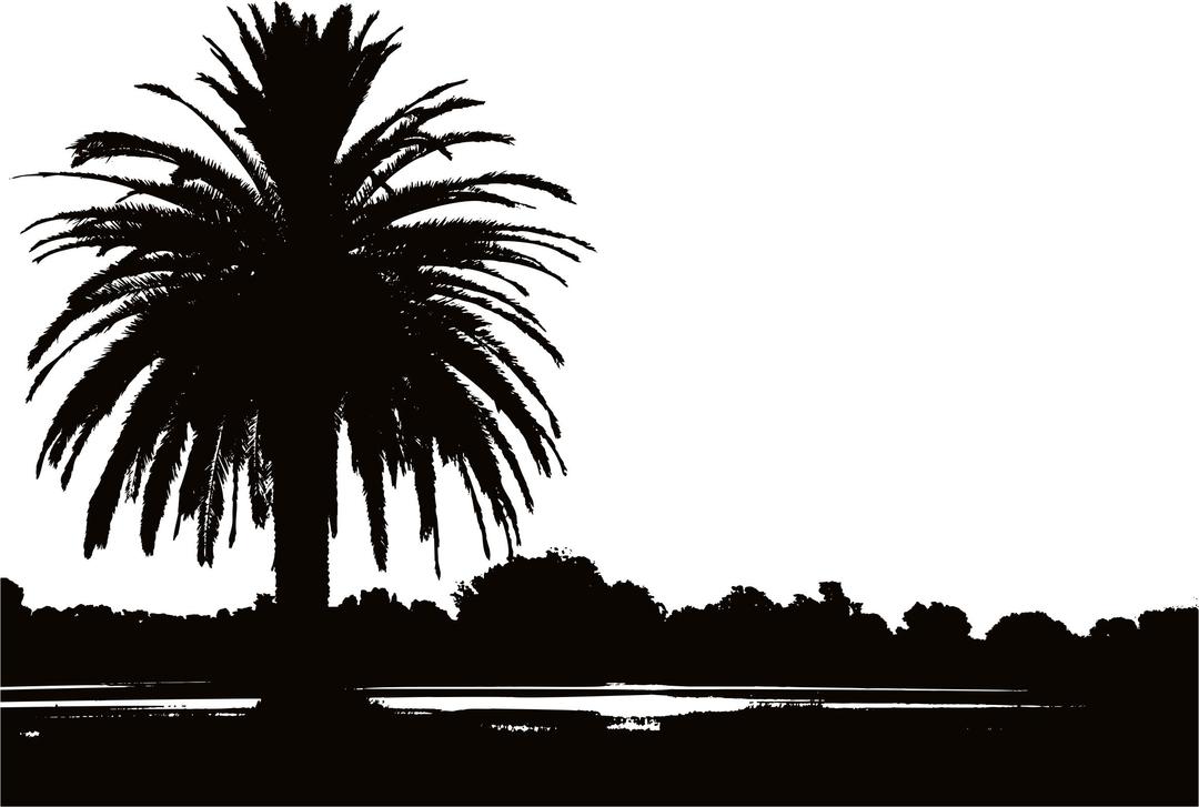 Palm Sunset Silhouette png transparent