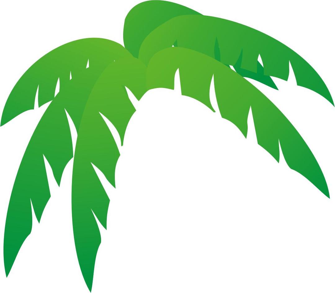 Palm Tree Leaves png transparent