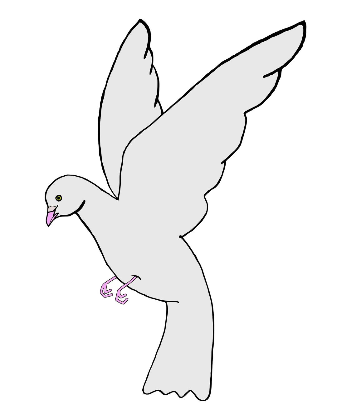 paloma (dove) png transparent