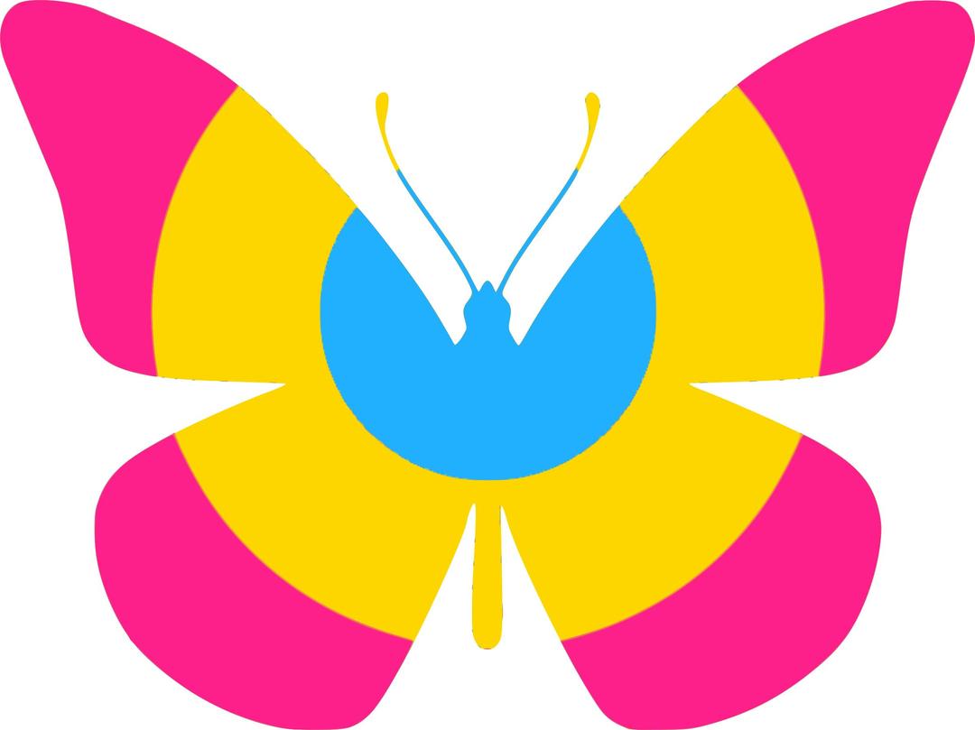 Pan Flag Butterfly png transparent