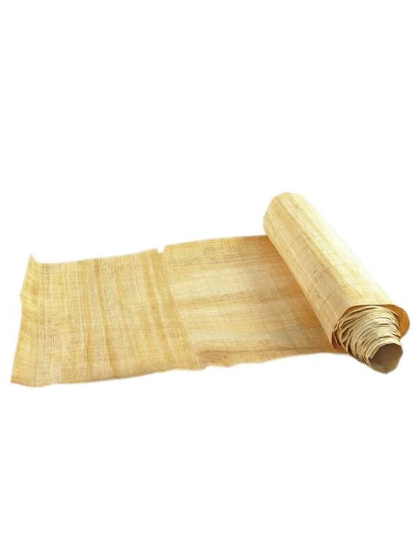 Partly Unrolled Papyrus Roll png transparent