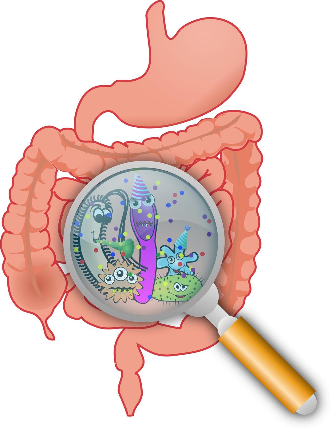 Party in the intestines png transparent