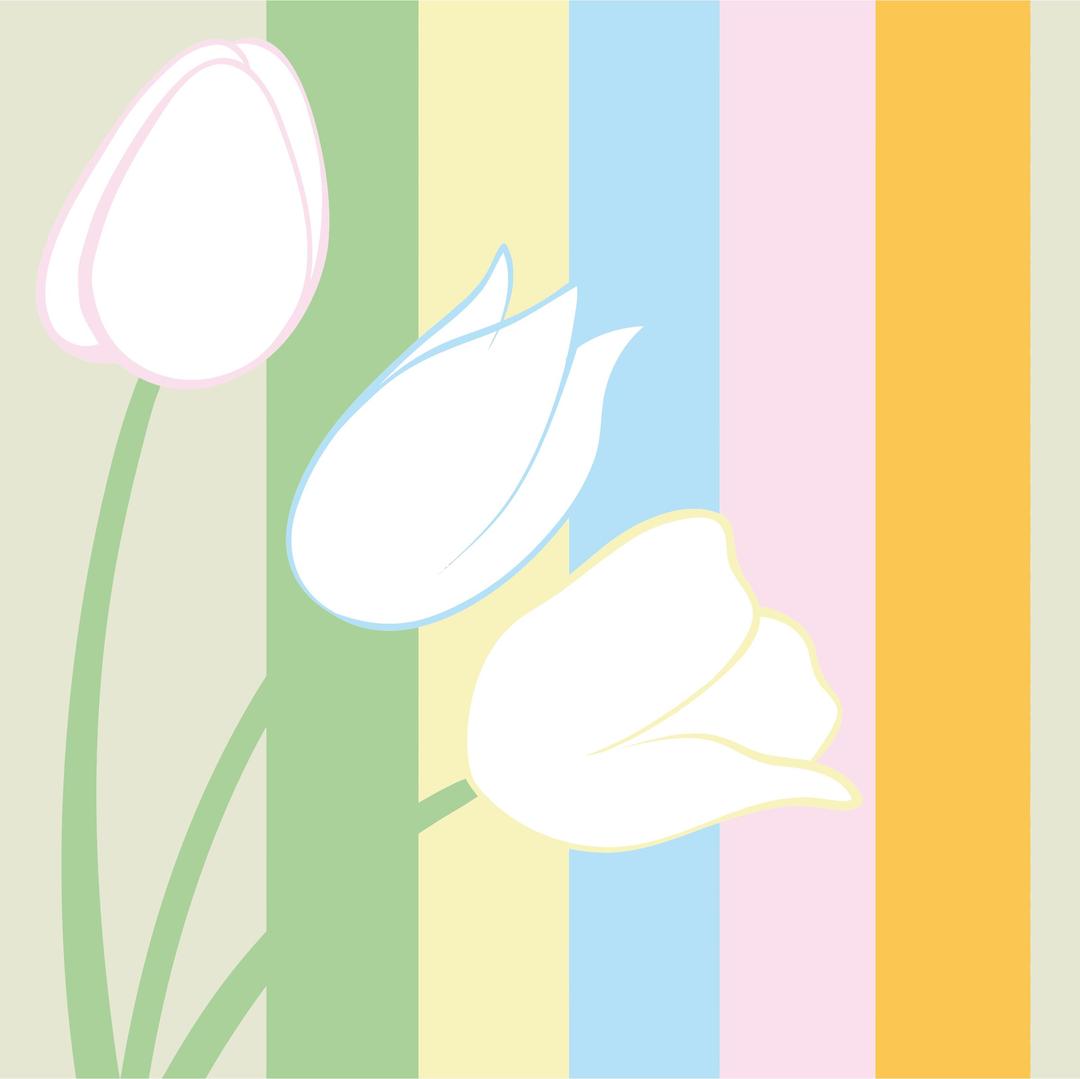 Pastel Tulips png transparent