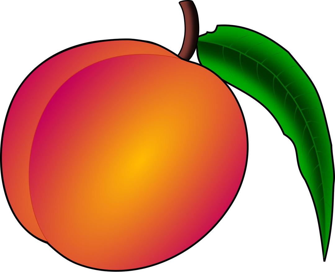 Peach png transparent