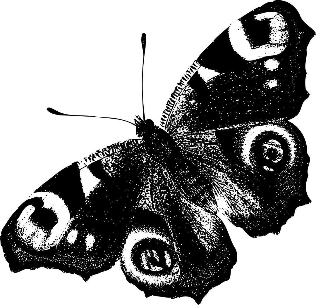 Peacock butterfly (black) png transparent
