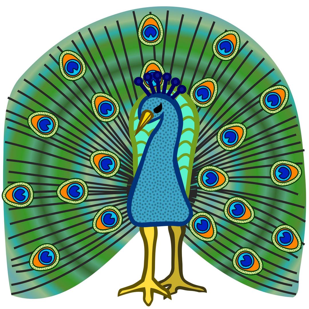 peacock - coloured png transparent
