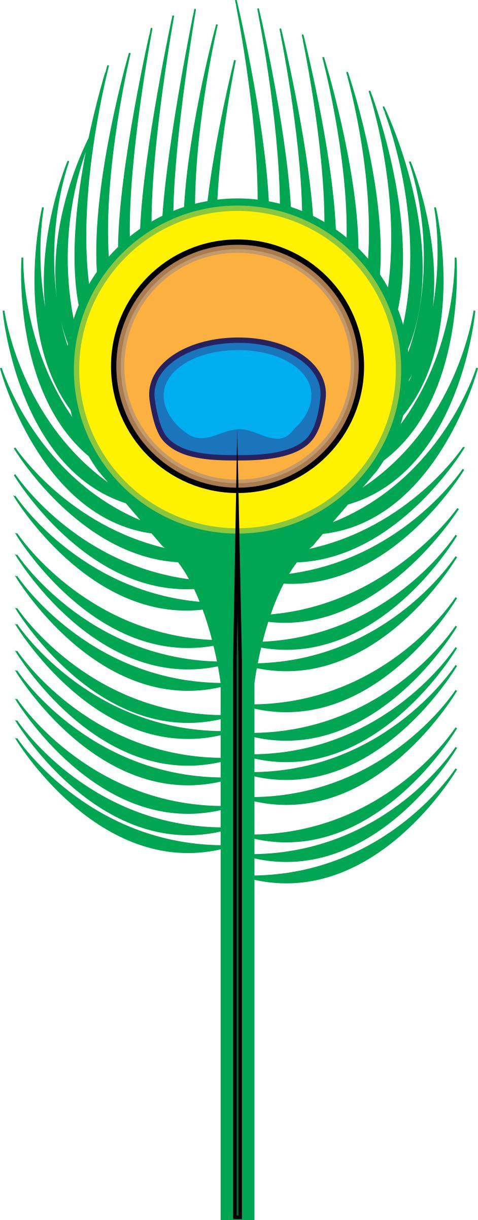 Peacock Feather png transparent