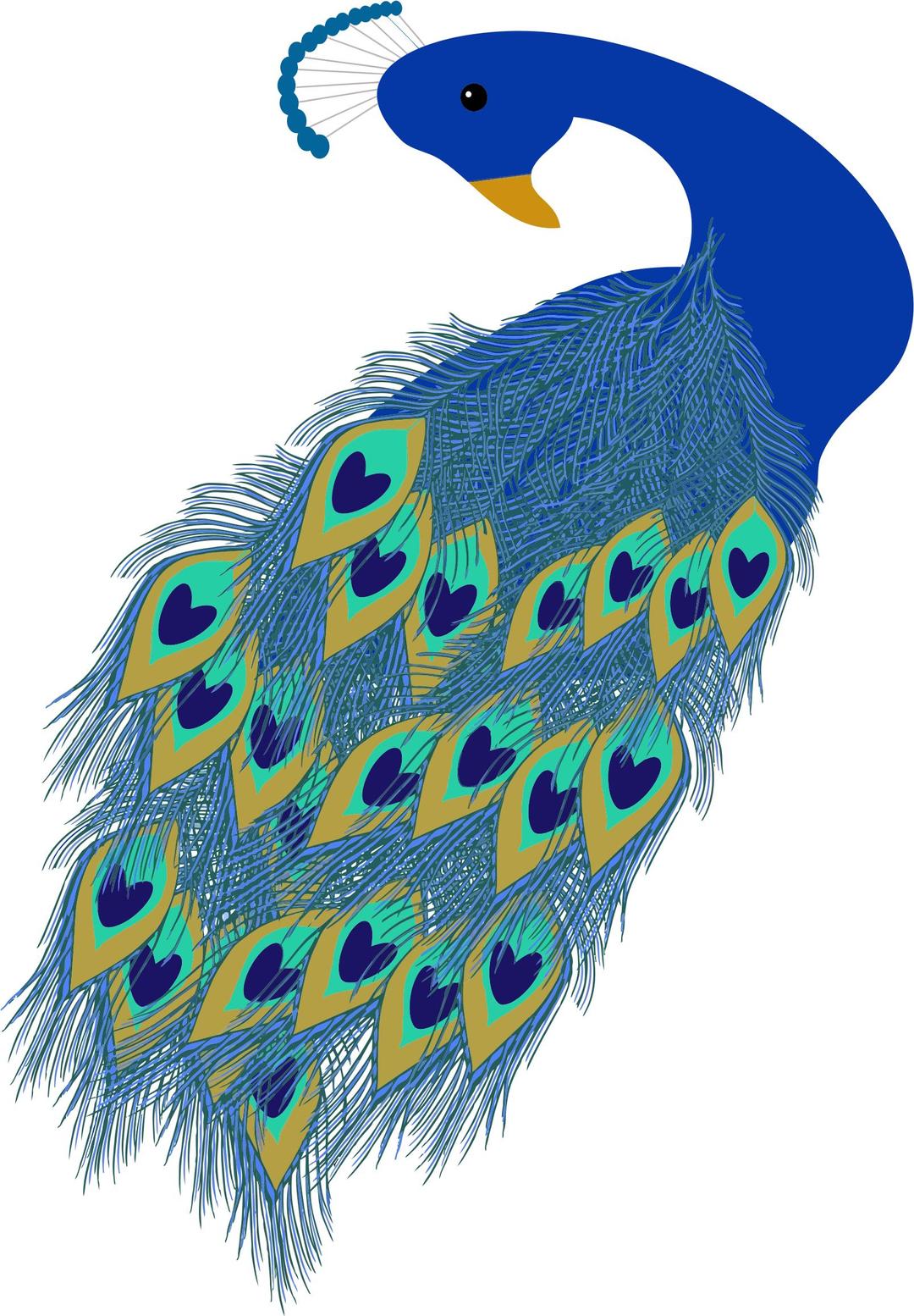 Peacock Illustration png transparent