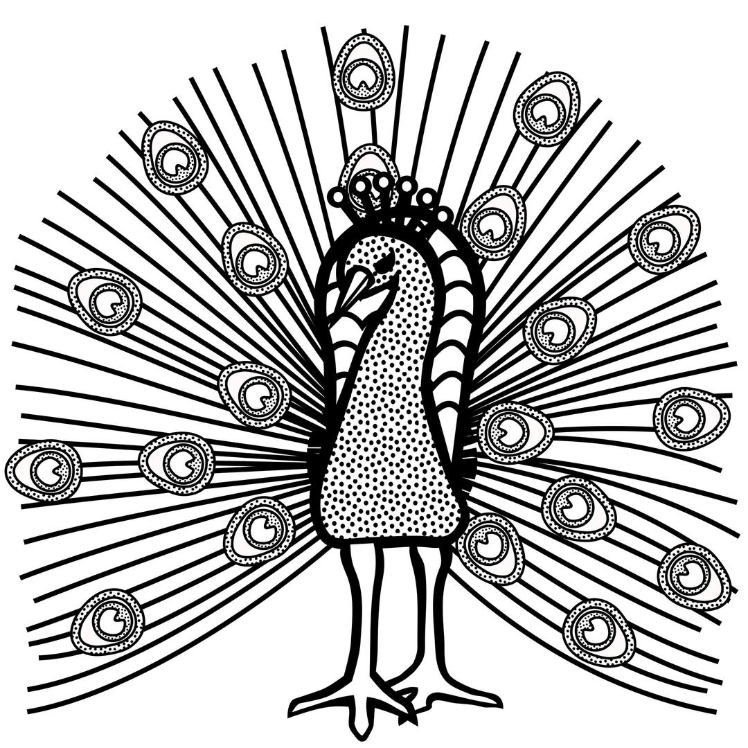 Peacock Lineart png transparent