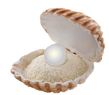 Pearl on A Sandbed In A Shell png transparent