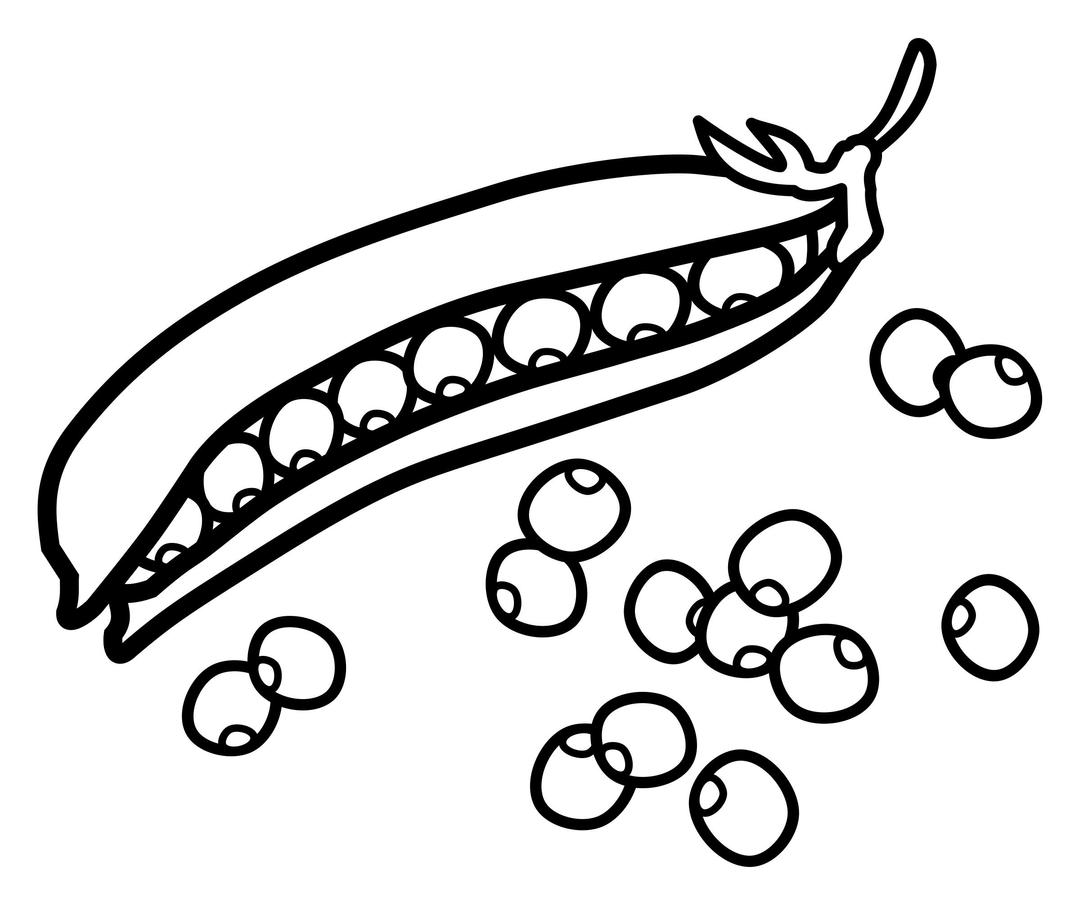 peas - lineart png transparent