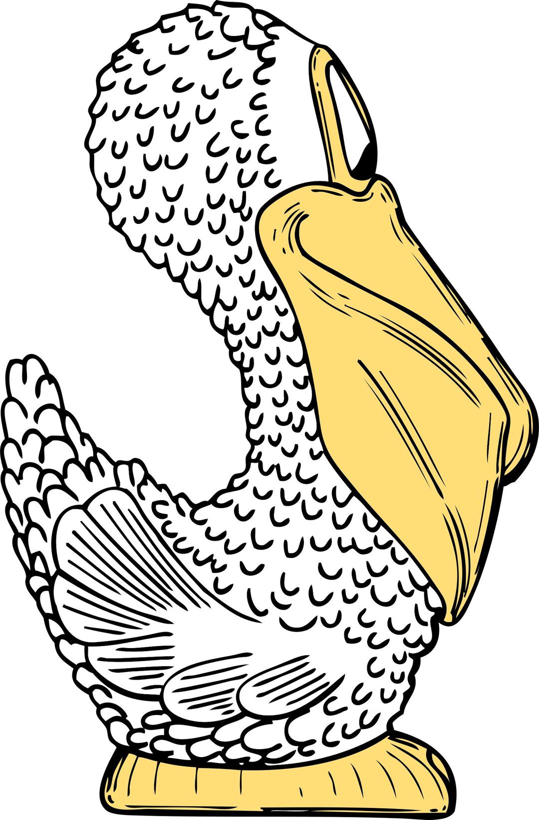 pelican side view png transparent