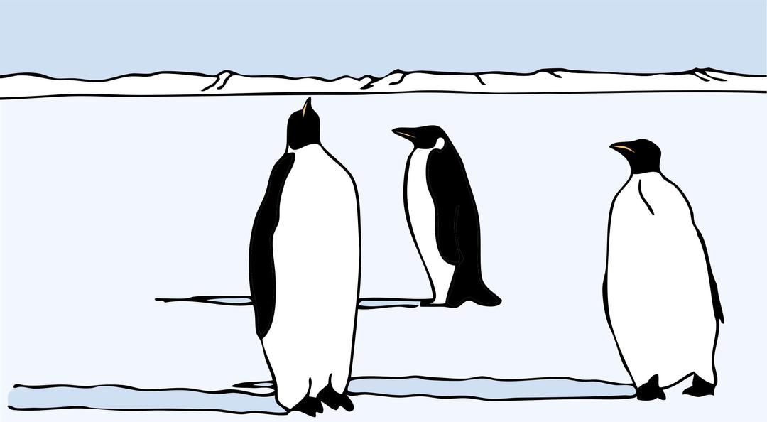 penguins png transparent