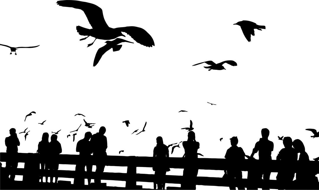 People And Seagulls Silhouette png transparent