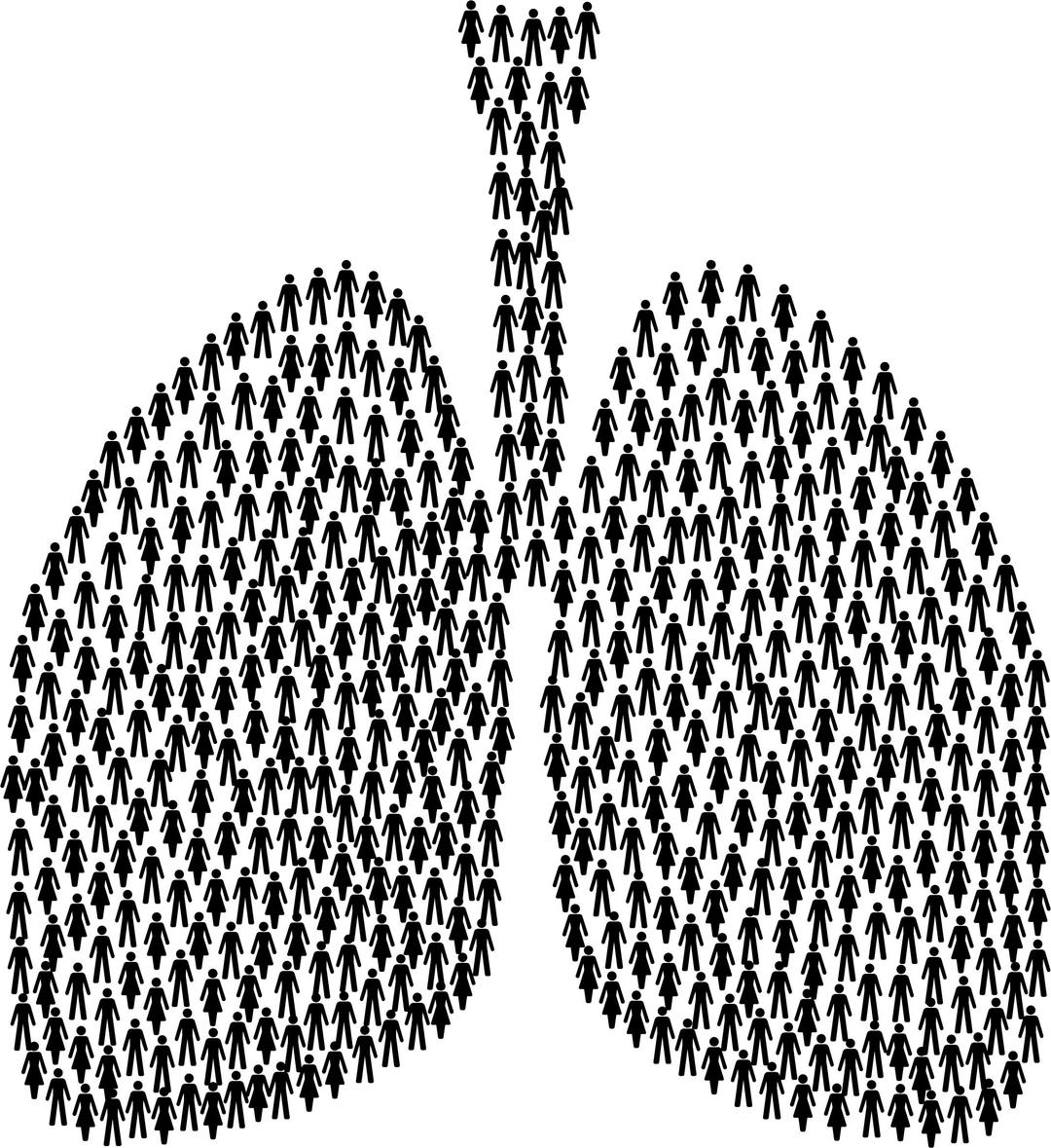 People Lungs png transparent
