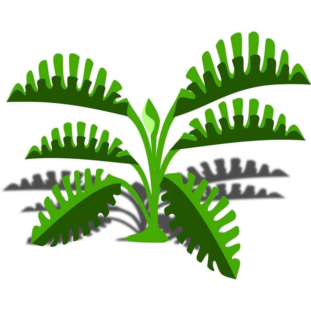 Philodendron png transparent