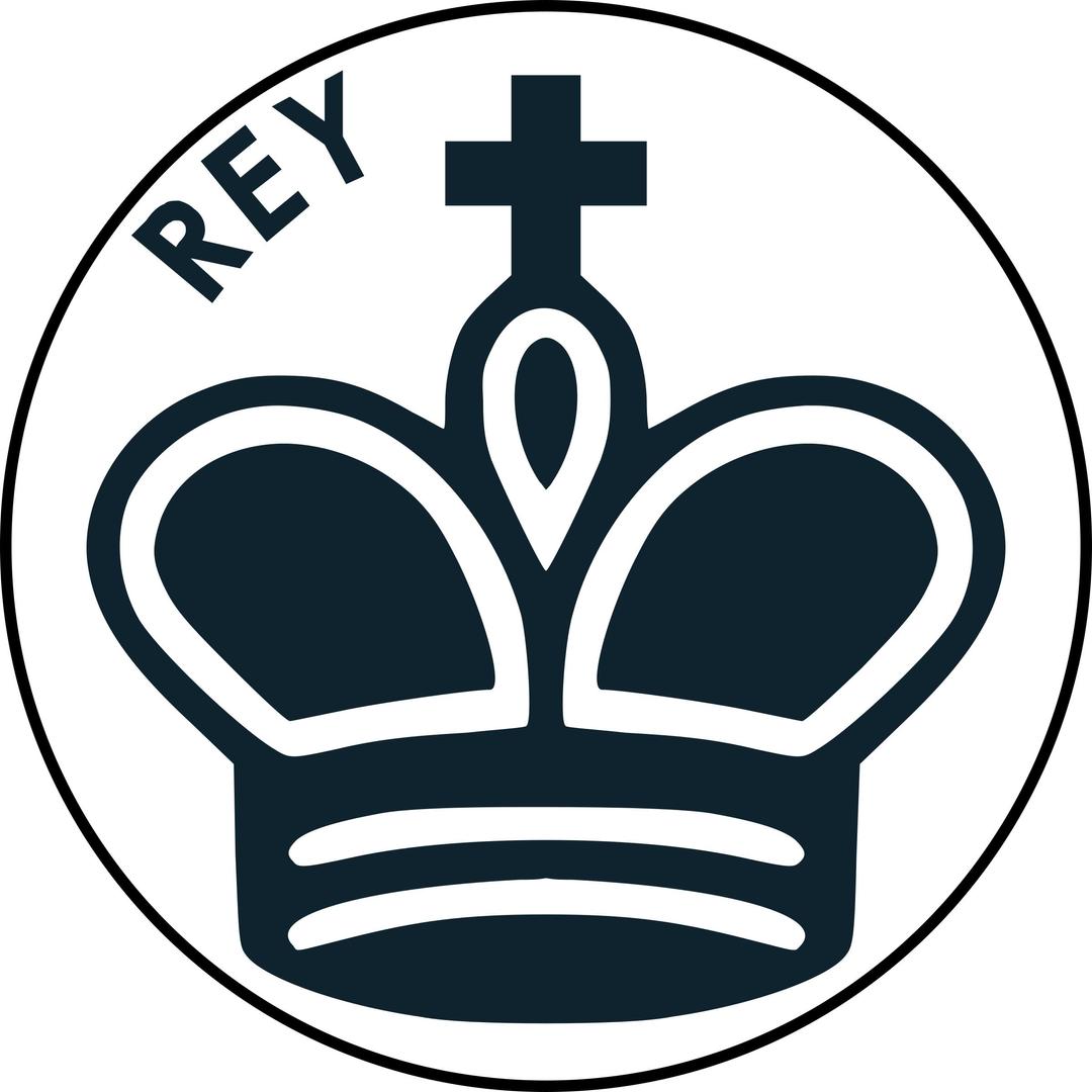 Pieza de Ajedrez con Nombre – Rey Negro png transparent