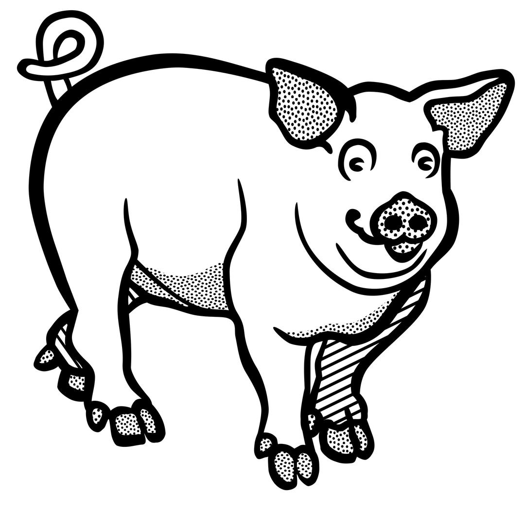 pig - lineart png transparent